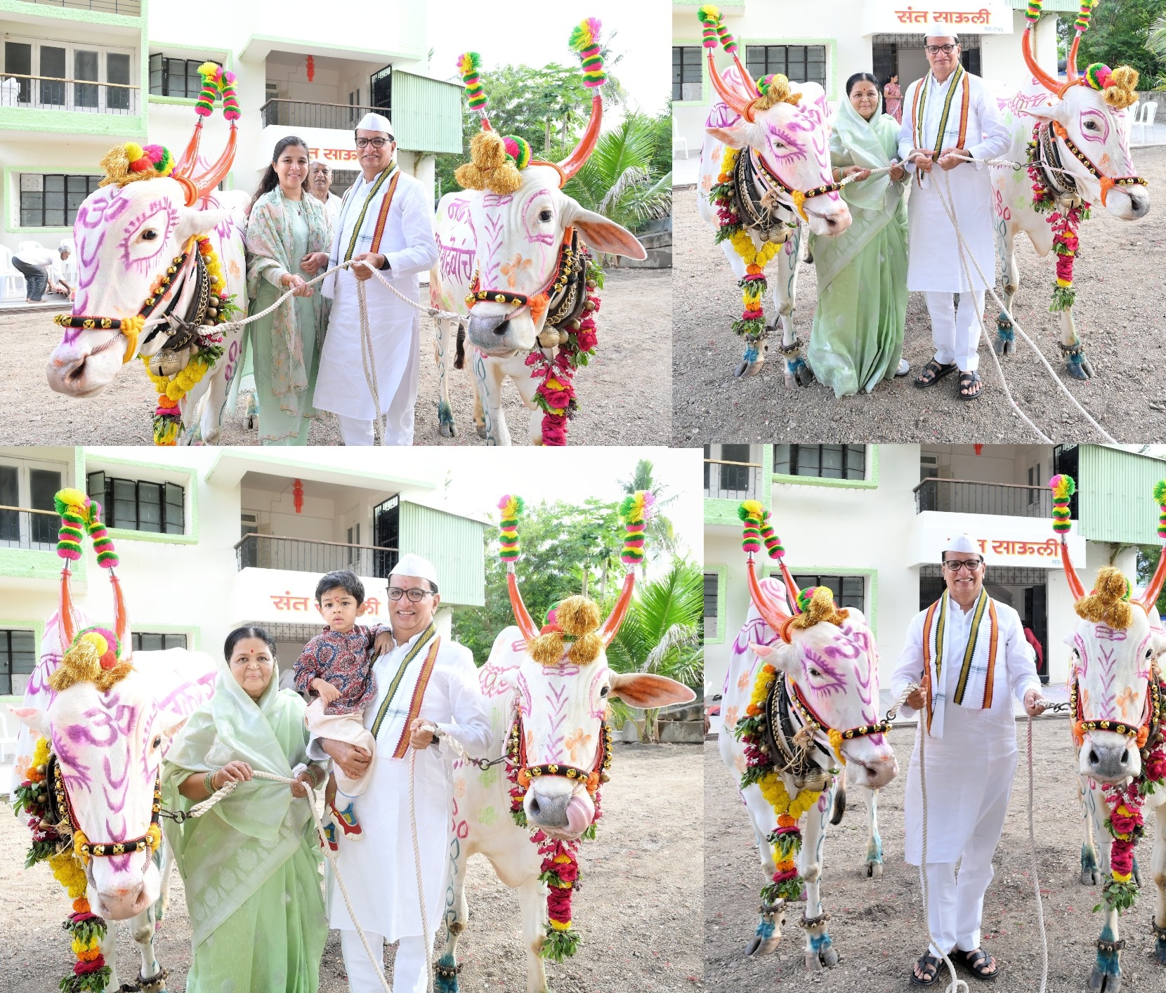 शेतकऱ्यांच्या जीवनात बैलपोळ्याचे मोठे महत्त्व-माजी कृषी मंत्री बाळासाहेब थोरात<br>